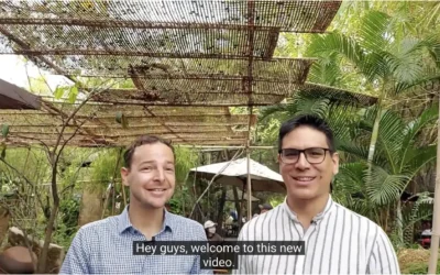 Open A Hostel And Run a Hospitality Business in Vietnam