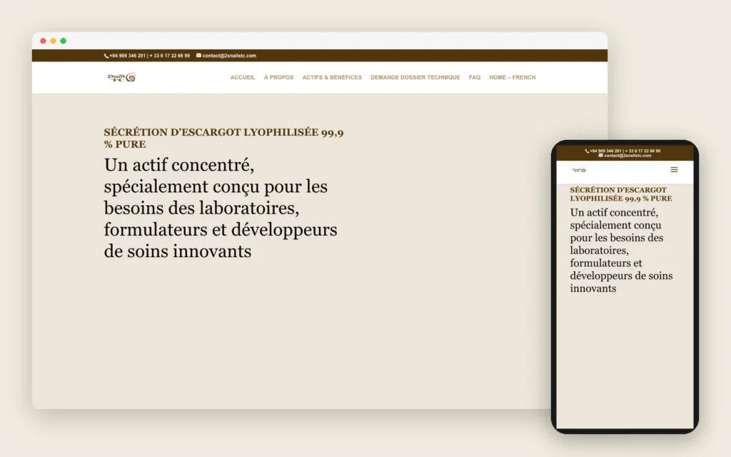 The 2SnailSTC website on desktop and mobile