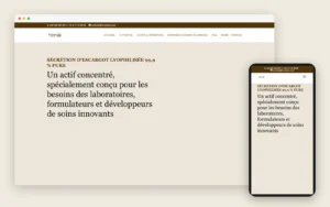 The 2SnailSTC website on desktop and mobile